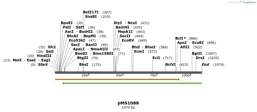 154204_map