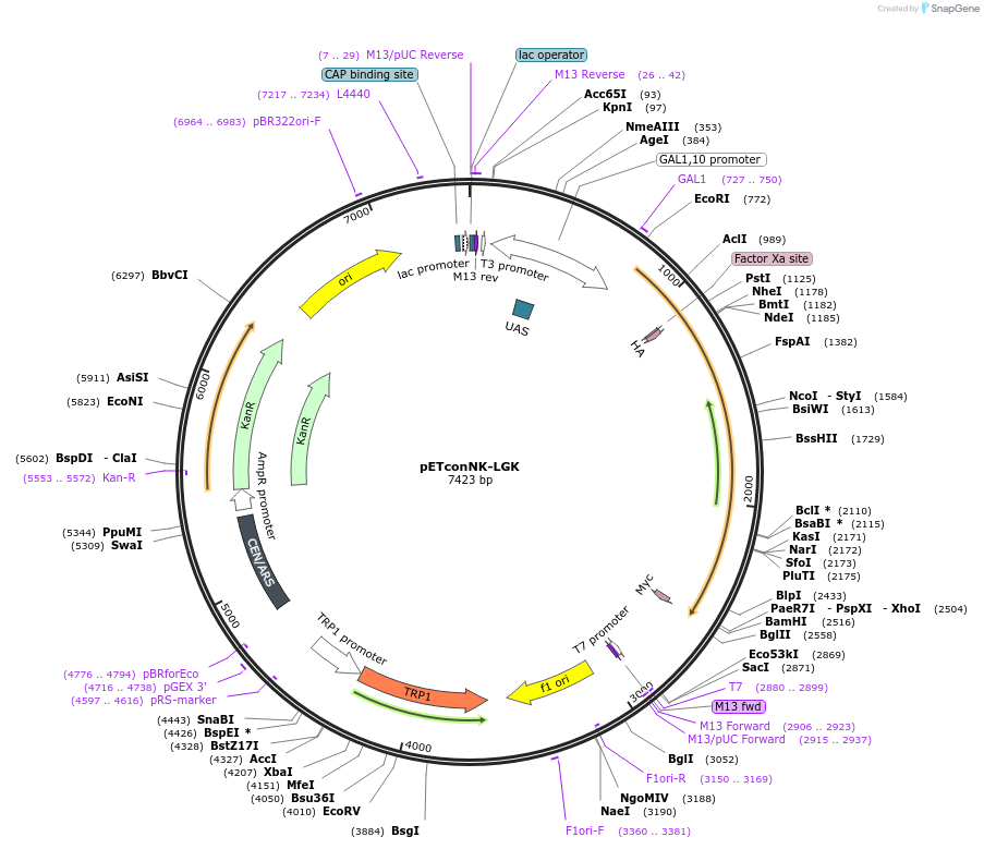 154220_map