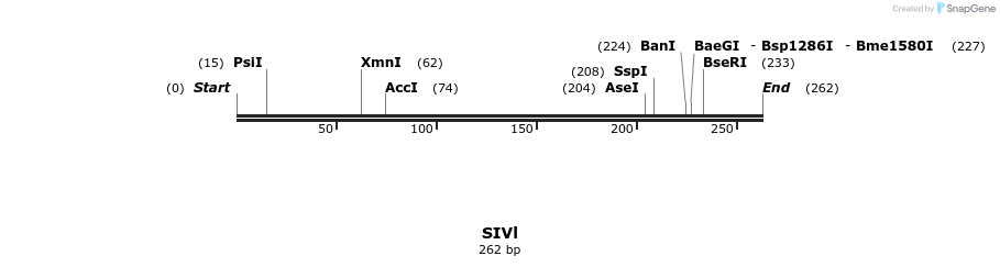 154231_map