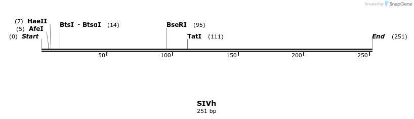 154235_map