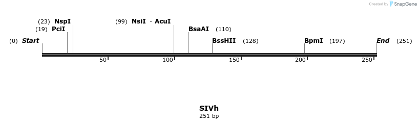 154236_map