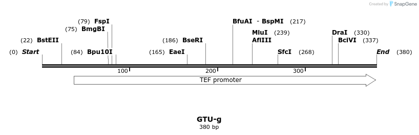154252_map