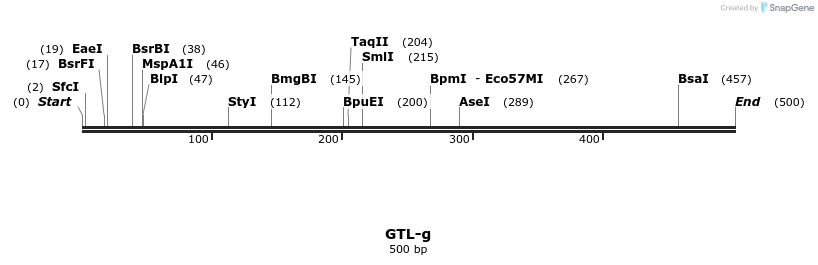 154277_map