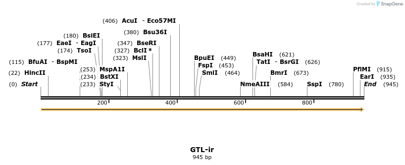 154292_map