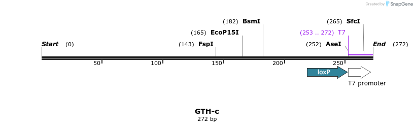 154298_map