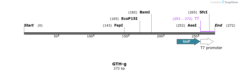 154303_map