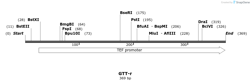 154346_map