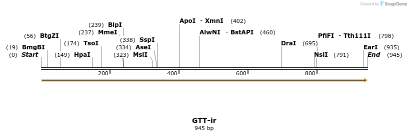 154352_map