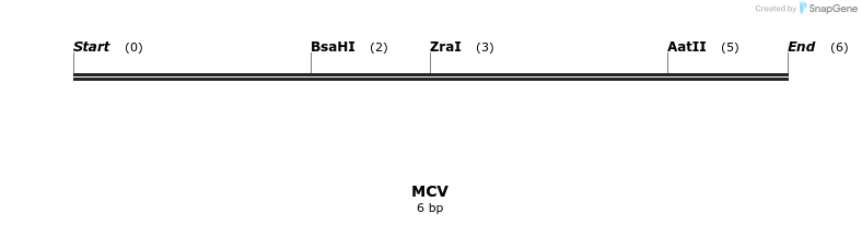 154356_map
