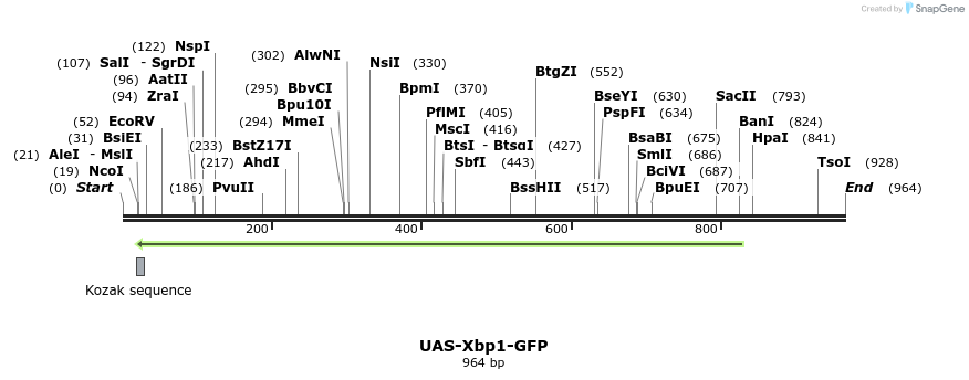 154371_map