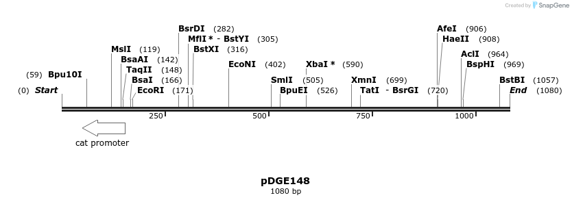 154373_map