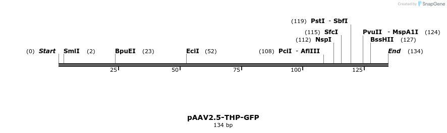 154375_map