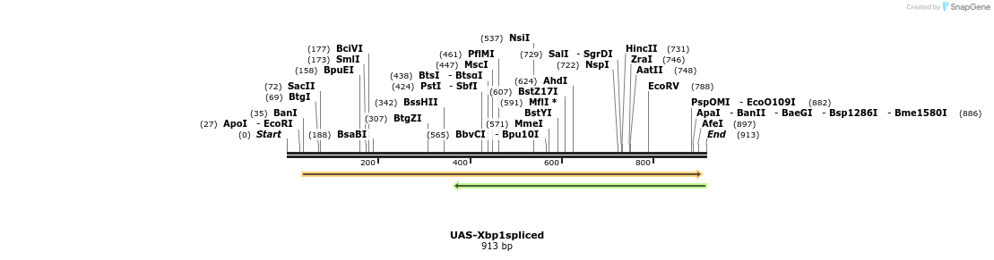 154377_map