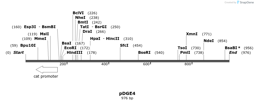 154387_map