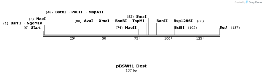 154393_map
