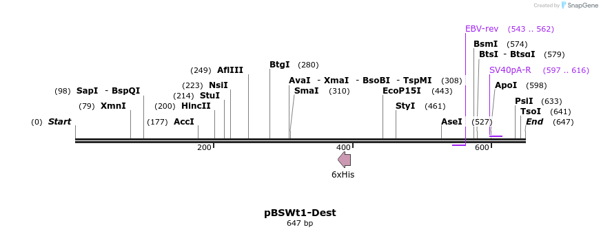 154394_map