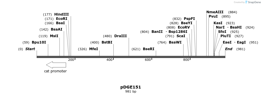 154396_map