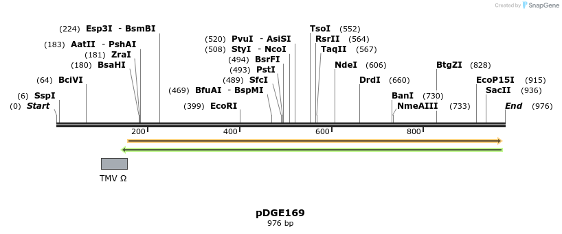 154397_map
