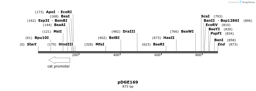 154399_map