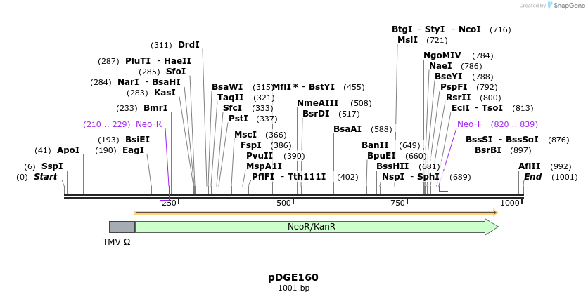 154401_map