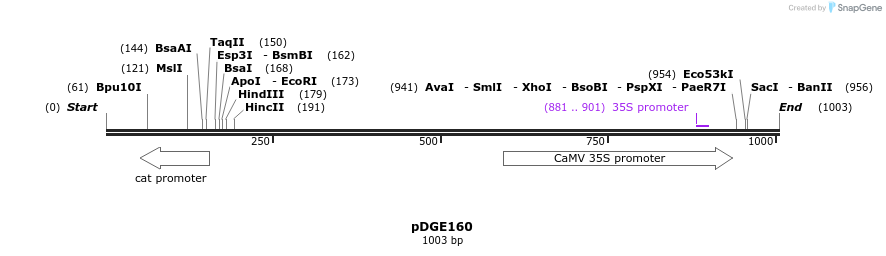 154404_map