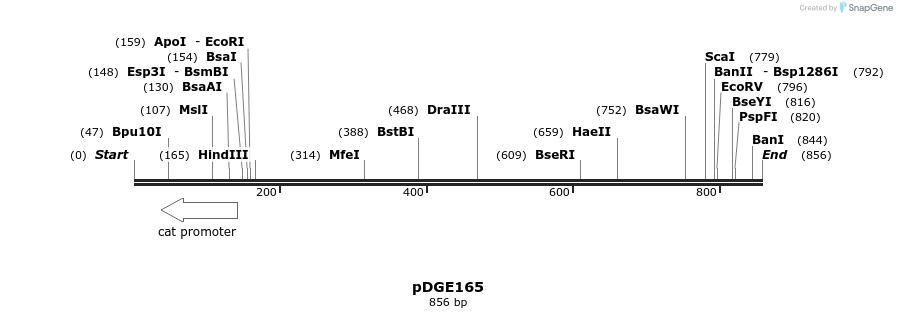 154427_map