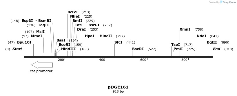 154435_map