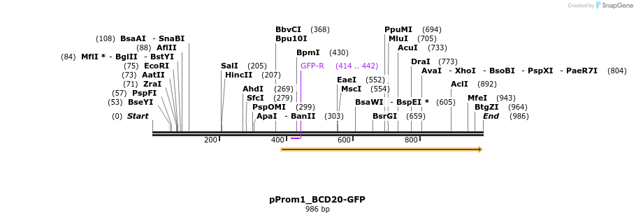 154455_map
