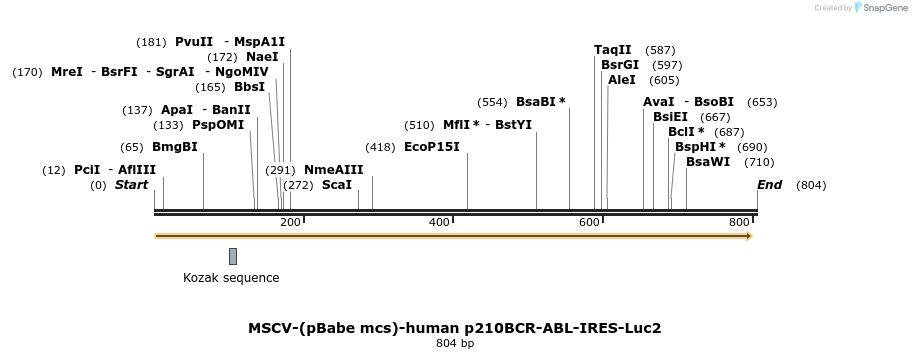 154464_map