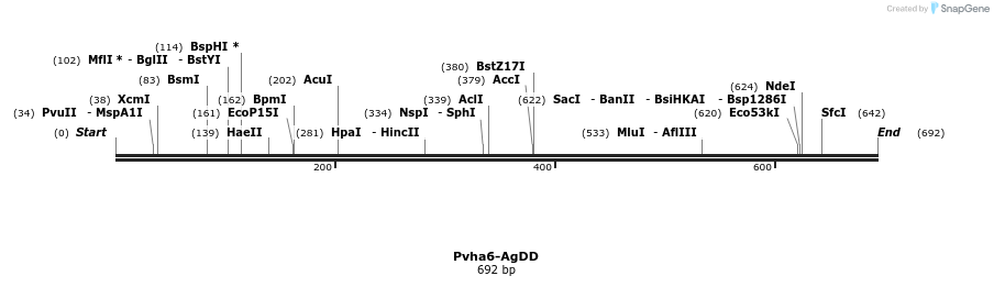 154493_map