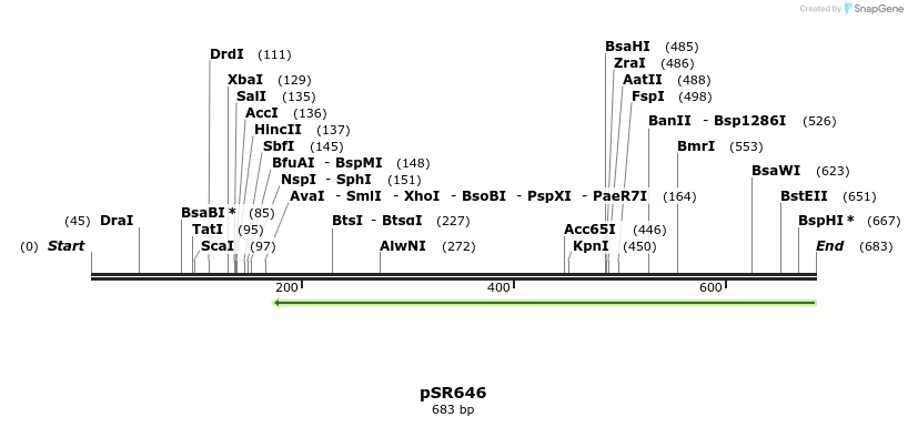 154496_map