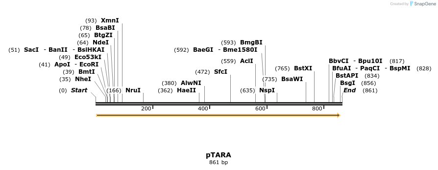 154509_map