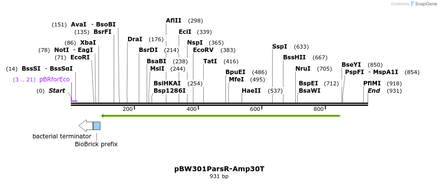 154521_map