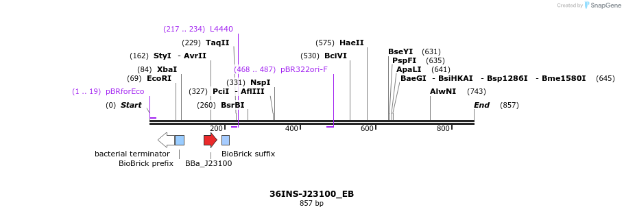 154532_map