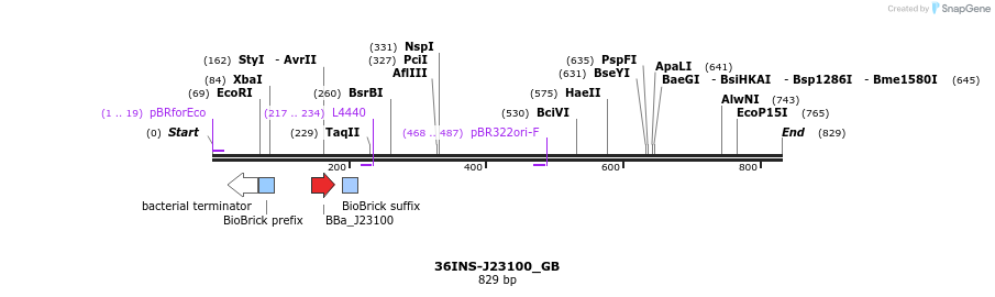 154538_map