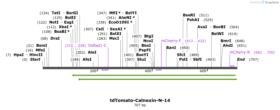 154557_map