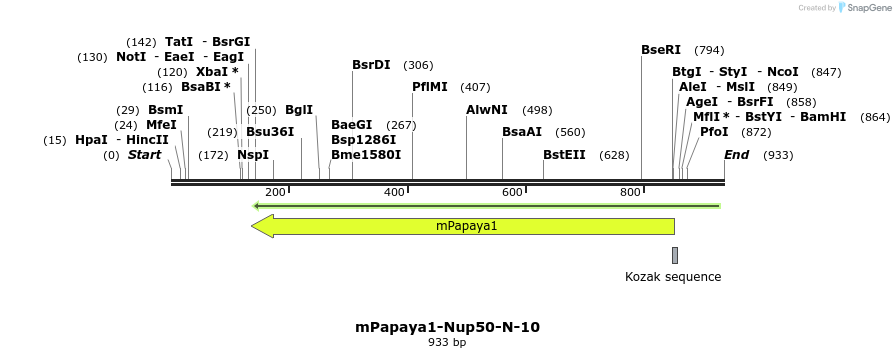 154564_map