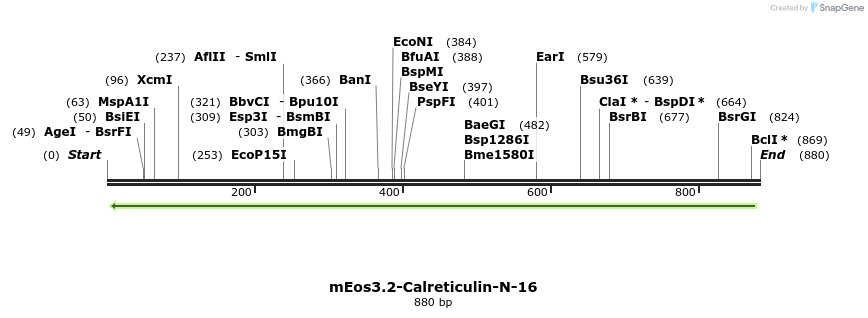 154567_map