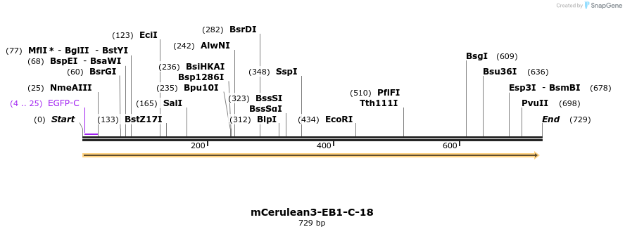 154568_map