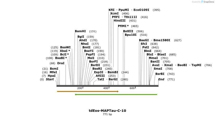 154572_map