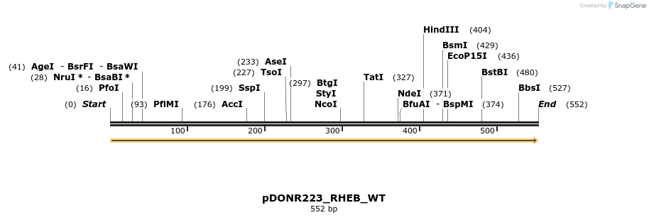 154576_map