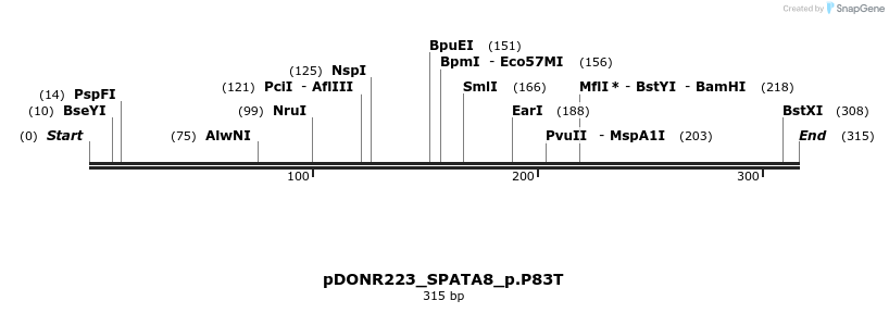154579_map