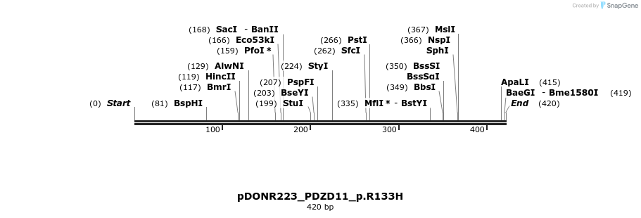 154583_map