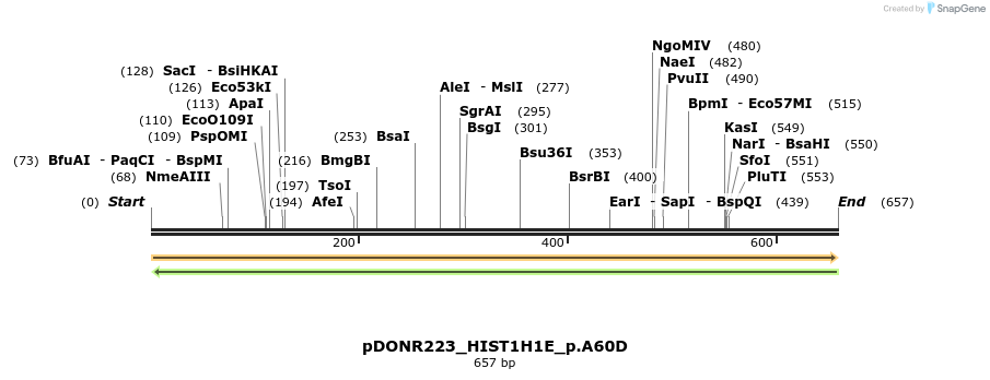 154588_map