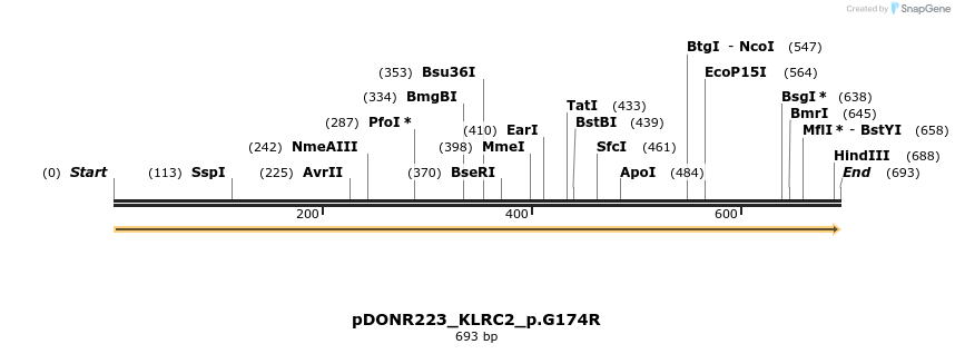 154589_map