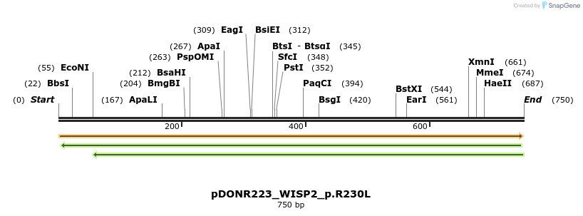 154590_map