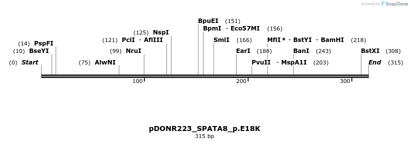 154591_map