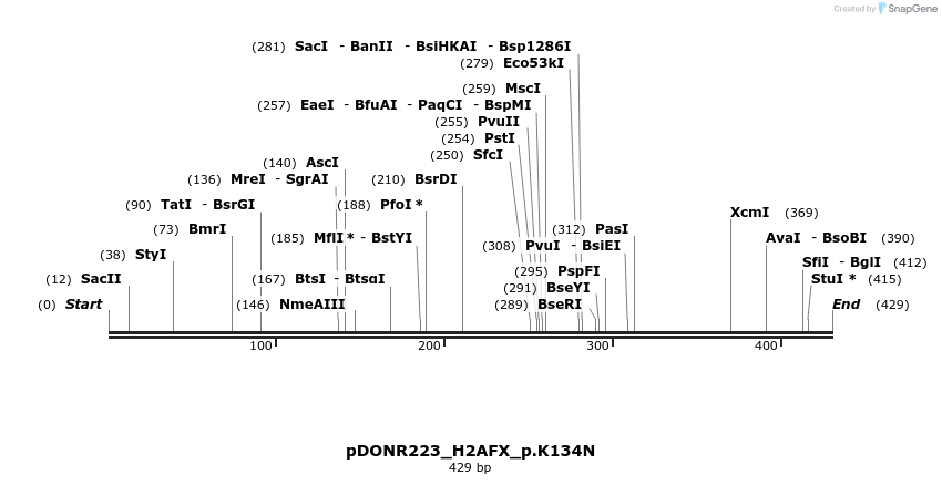 154594_map