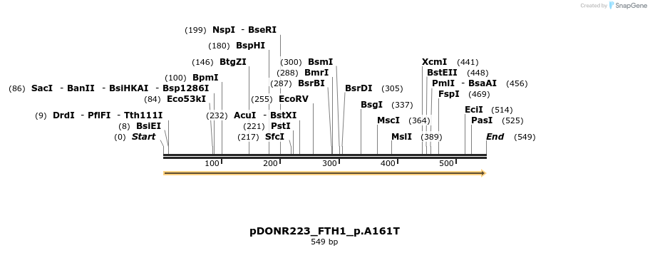 154597_map
