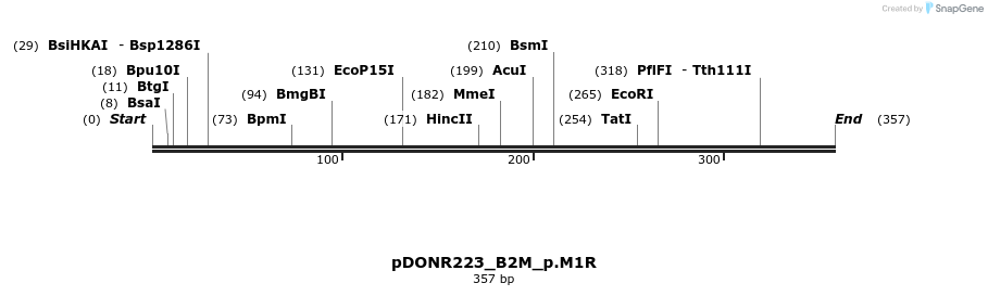 154599_map